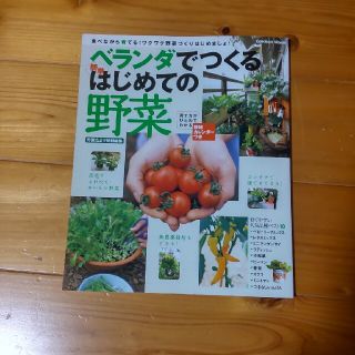 ベランダでつくる簡単はじめての野菜(趣味/スポーツ/実用)