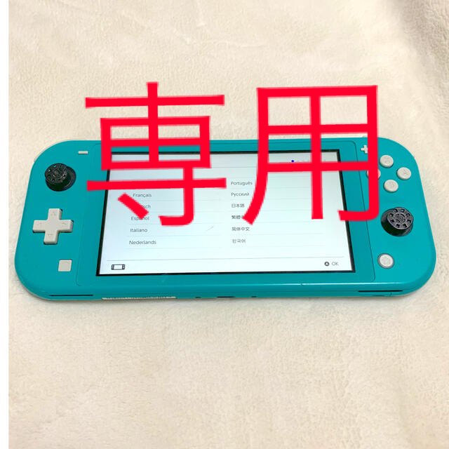 SwitchライトNintendo Switchライトジャンク