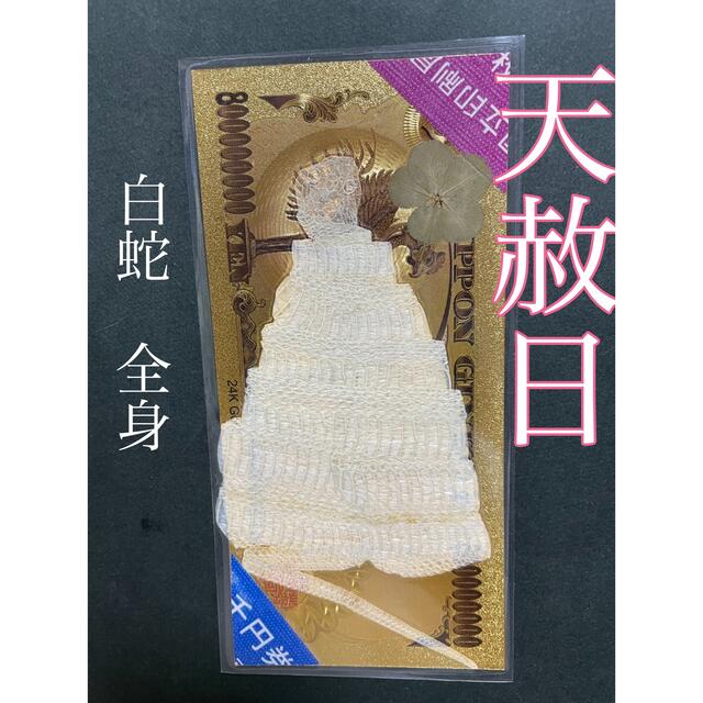 白蛇の抜け殻☆巳年生まれが育てるヘビのお守り☆全身☆貴重【 白蛇の抜け殻☆巳年生まれが育てるヘビのお守り☆全身☆貴重【