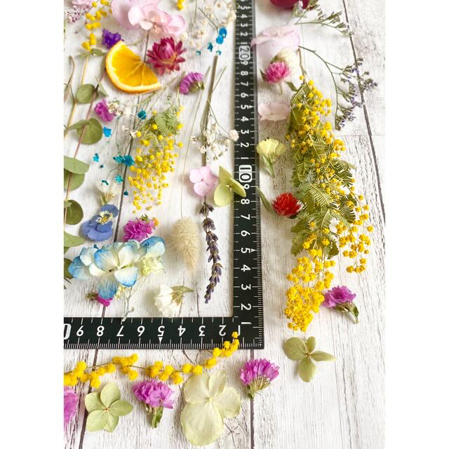 ドライフラワー花材セット❇︎カラフルL❇︎No. 66《盛り沢山》ミモザ