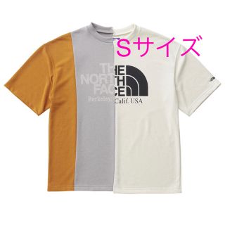 ザノースフェイス(THE NORTH FACE)の【大人気】THE NORTH FACE Tシャツ(Tシャツ(半袖/袖なし))