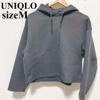 ユニクロ(UNIQLO)のドライソフトスウェットプルパーカー グレー(パーカー)