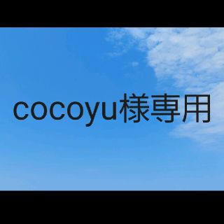 cocoyu様専用(食器)