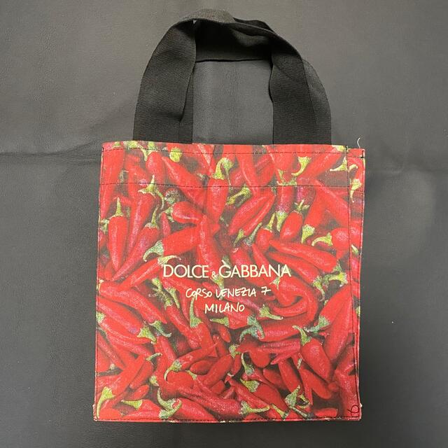 DOLCE&GABBANA - ドルチェ&ガッバーナ ノベルティバック(S)【非売品 ...