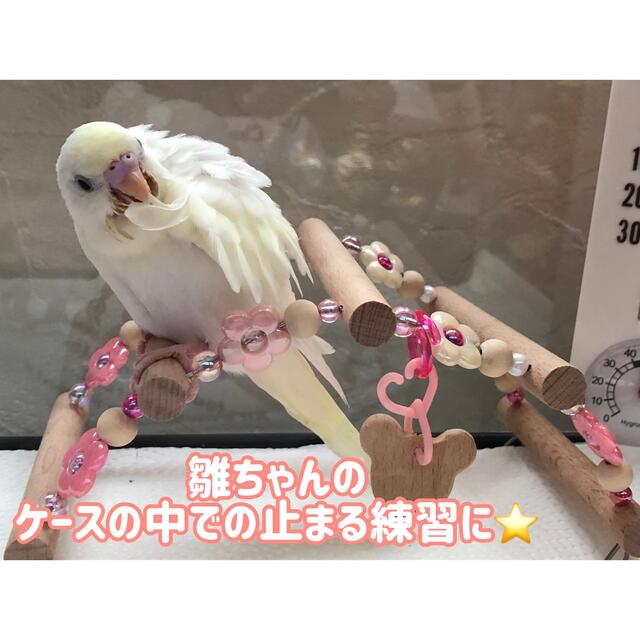 *102*天然素材ナチュラルアーチ♡Sサイズ♡小鳥さんのハンドメイドトイ その他のペット用品(鳥)の商品写真