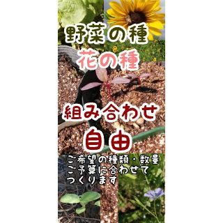 【自然農・自家採種あり】野菜の種　花の種　いろいろあります　春蒔き　プランター◎(野菜)