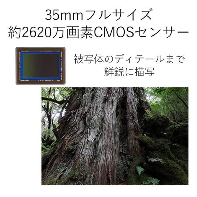 Canon デジタル一眼レフカメラ EOS 6D Mark II レンズキット