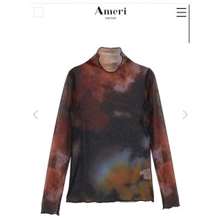 アメリヴィンテージ(Ameri VINTAGE)のAmeri vintage TAIDAI SHEER TURTLE TOP(カットソー(長袖/七分))