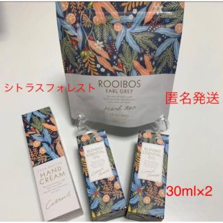 セイカツノキ(生活の木)の生活の木 シトラスフォレスト 30ml×2 ハンドクリーム ルイボスアールグレイ(エッセンシャルオイル（精油）)