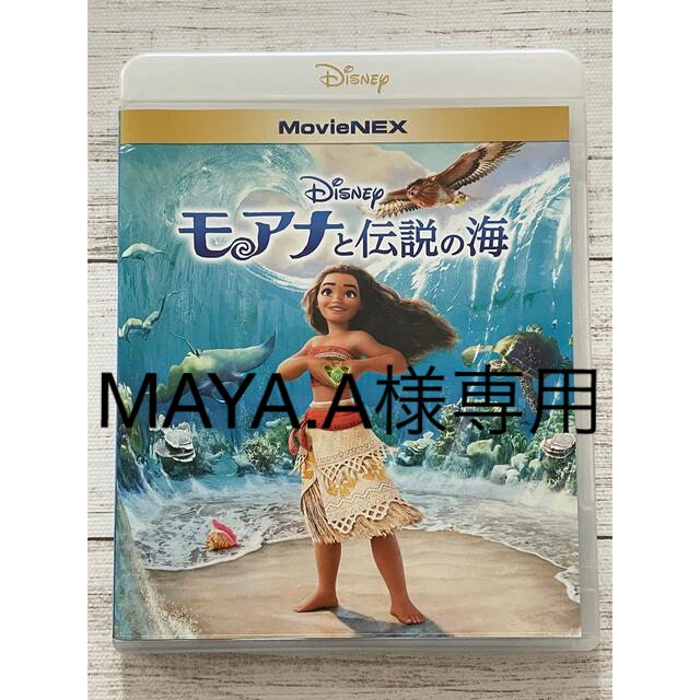 モアナと伝説の海　美女と野獣　DVDセット