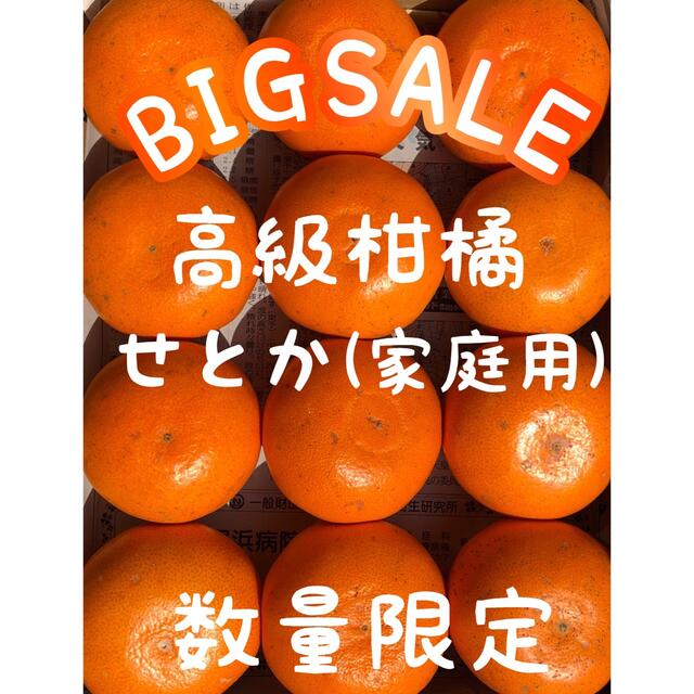 愛媛県産みかん 家庭用 せとか コンパクトボックス発送 柑橘 果物 ミカン 食品/飲料/酒の食品(フルーツ)の商品写真