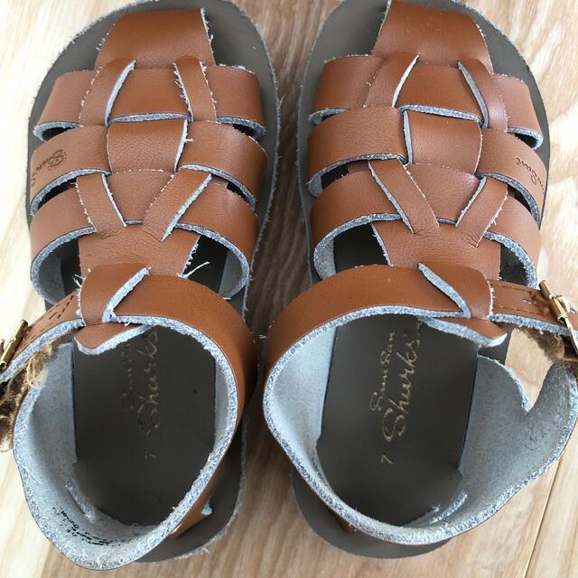 こども ビームス(コドモビームス)のsalt water sandal shark 7 キッズ/ベビー/マタニティのベビー靴/シューズ(~14cm)(サンダル)の商品写真