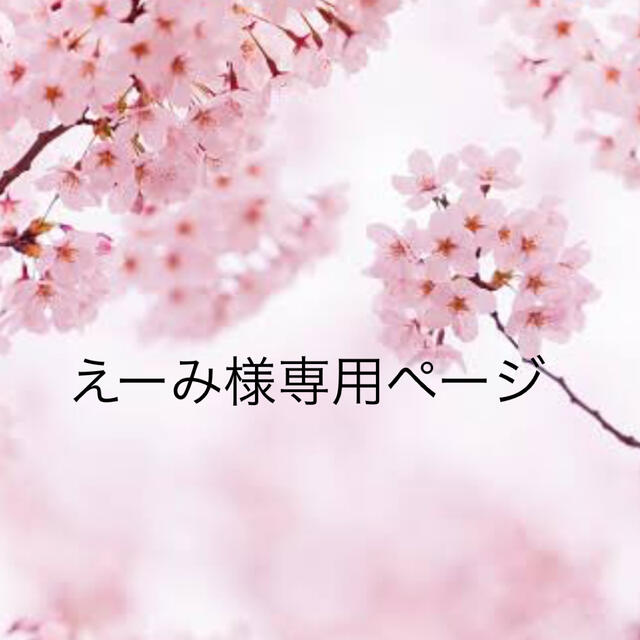 えーみ様専用ページ セール商品 49.0%割引