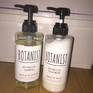 ボタニスト(BOTANIST)の本日限定価格❗️ボタニストしっとりボタニカルシャンプー&トリートメント(ヘアケア)