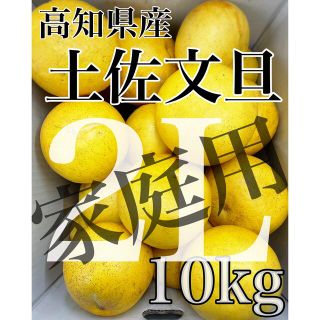 高知県産【土佐文旦】家庭用 2Lサイズ 10kg！(フルーツ)