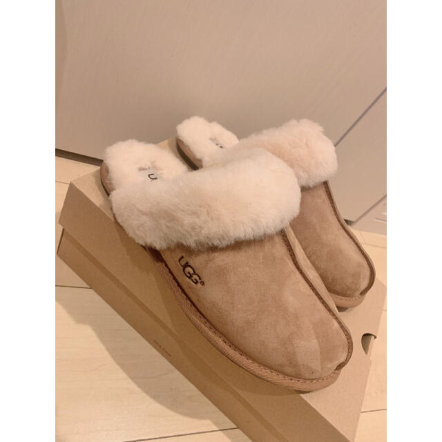 UGG(アグ)のUGG ルームシューズ スカフェット２ 25cm インテリア/住まい/日用品のインテリア小物(スリッパ/ルームシューズ)の商品写真