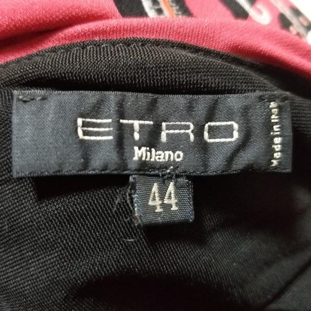 ETRO(エトロ)のエトロ 長袖カットソー サイズ44 L美品  - レディースのトップス(カットソー(長袖/七分))の商品写真