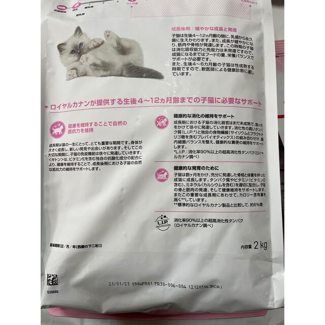 ロイヤルカナン FHN キトン 成長前期 後期 子猫用 2kg 500g 1