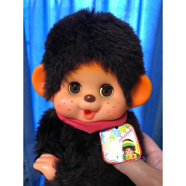 モンチッチ 似 大助くん モンチッチ 似 大助くん