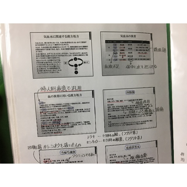 登録販売者試験対策シリーズ【漢方生薬A+B】まとめ資料セットの
