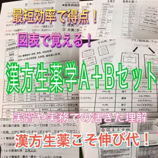 最低価格の 登録販売者試験対策シリーズ【漢方生薬A+B】まとめ資料セットの 健康・医学