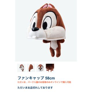 ディズニー(Disney)のchilmさん専用 ディズニー チップ ファンキャップ(キャラクターグッズ)