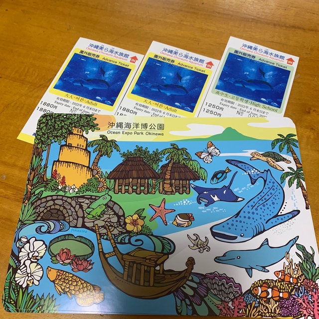 沖縄美ら海水族館 チケットの通販 by すずらん's shop|ラクマ 沖縄美ら海水族館 チケットの通販 by すずらん's shop|ラクマ