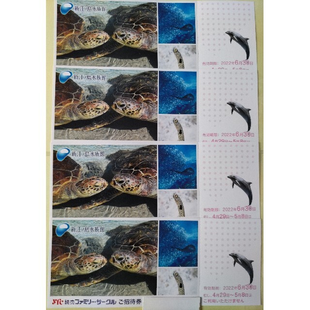 新江ノ島水族館 ご招待券4枚 送料無料の通販 by あしゃまろ's shop|ラクマ 新江ノ島水族館 ご招待券4枚 送料無料の通販 by あしゃまろ's shop|ラクマ