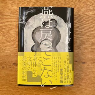 燕は戻ってこない(文学/小説)