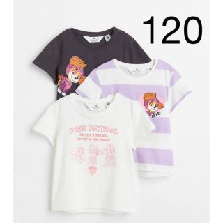 エイチアンドエム(H&M)の専用です　新品未開封　パウパトロール　Tシャツ　3枚セット　120/130(Tシャツ/カットソー)