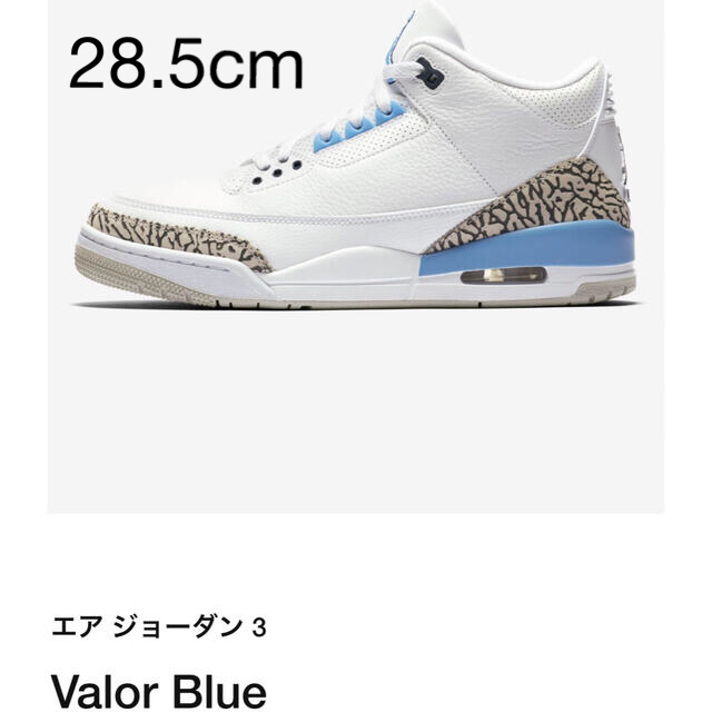 NIKE(ナイキ)のNIKE AIR JORDAN3 "UNC" メンズの靴/シューズ(スニーカー)の商品写真