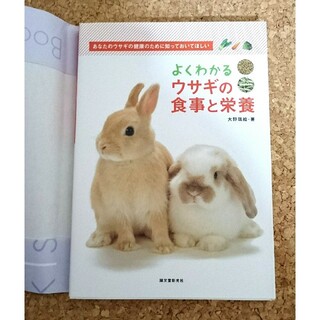 よくわかるウサギの食事と栄養  うさぎ 飼育書 本(住まい/暮らし/子育て)