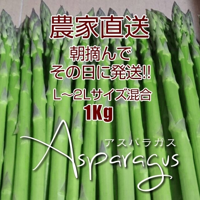 太アスパラガス 1kg 採りたて野菜 食品/飲料/酒の食品(野菜)の商品写真