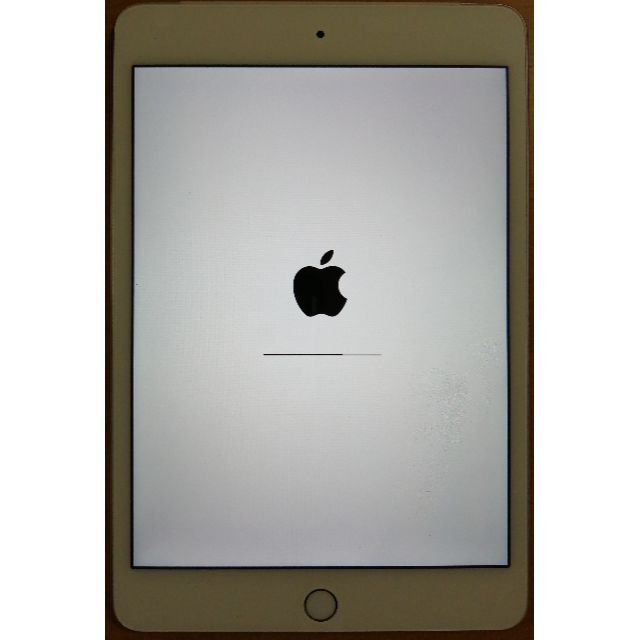 iPad mini 4 16GB