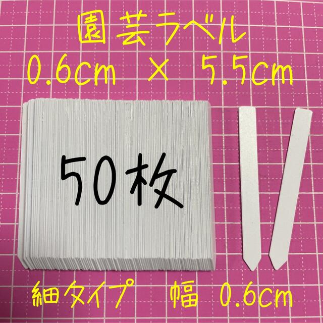 多肉植物に⭐︎  園芸ラベル　50枚 ハンドメイドのフラワー/ガーデン(その他)の商品写真