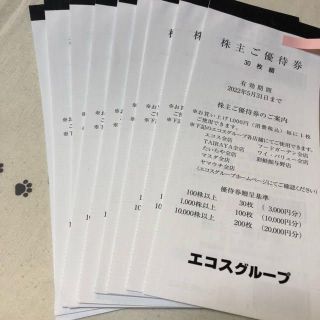 3000円分　エコス　株主優待券(ショッピング)