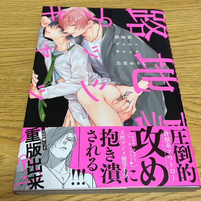 路地裏プッシーキャット エンタメ/ホビーの漫画(ボーイズラブ(BL))の商品写真