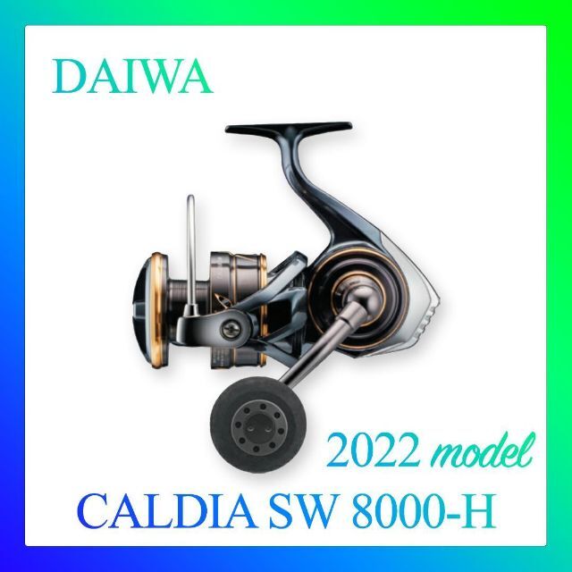 品質が完璧 ダイワ スピニングリール カルディア SW 6000D-H 22年