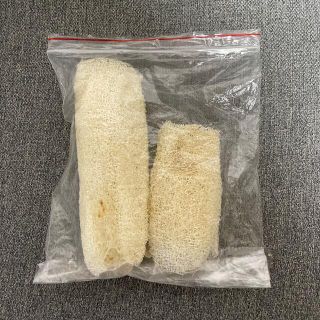 無漂白　へちまタワシ　2個セット(タオル/バス用品)