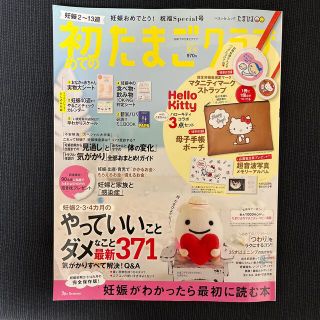 初めてのたまごクラブ 妊娠がわかったら最初に読む本 ２０２１年夏号(結婚/出産/子育て)