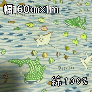 サメ　海の生き物　ブルー　布　生地　綿100% 1m(生地/糸)