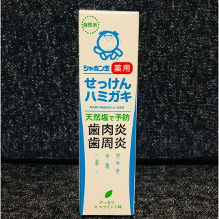 シャボンダマセッケン(シャボン玉石けん)のシャボン玉☆薬用せっけんハミガキ 80g(歯磨き粉)