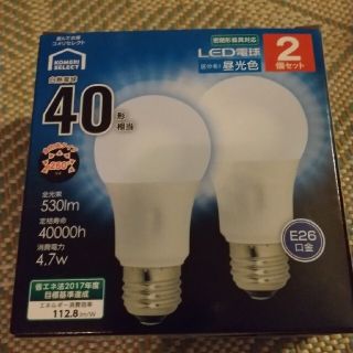 オームデンキ(オーム電機)の40W型LED電球、E26口金、昼光色2個セット(蛍光灯/電球)