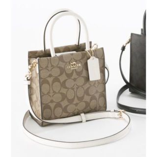 コーチ(COACH)の【【えむ様専用】4/1まで取り置き　coach ショルダーバック、ハンドバッグ(ショルダーバッグ)