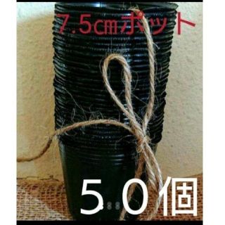 黒ポリポット7.5㎝ ５０個➕花の種(その他)