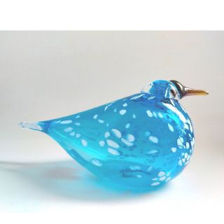 iittala - Blue finch ブルーフィンチ オイバトイッカ iittalaの通販