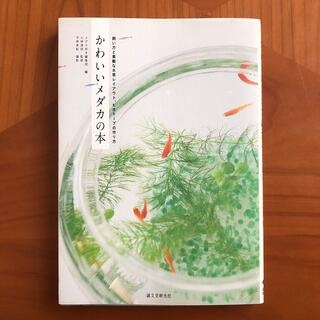 かわいいメダカの本 飼い方と素敵な水草レイアウト、ビオト－プの作り方(住まい/暮らし/子育て)