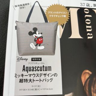 アクアスキュータム(AQUA SCUTUM)の超特大トートバッグ(トートバッグ)