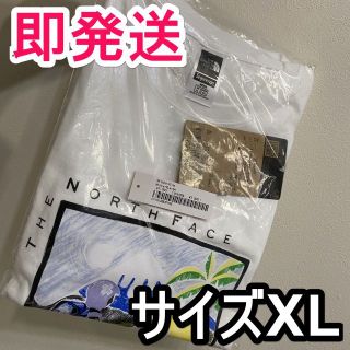 シュプリーム(Supreme)のXL◇Supreme The North Face Sketch S/S Top(Tシャツ/カットソー(半袖/袖なし))