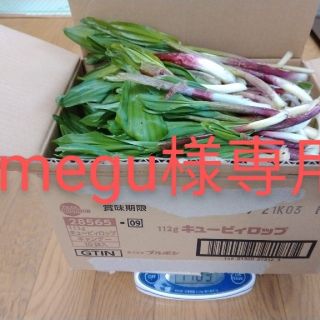 megu様専用 行者ニンニク5kg(野菜)